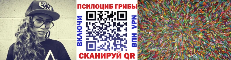 блэк спрут как зайти  Весьегонск  Псилоцибиновые грибы Psilocybe 